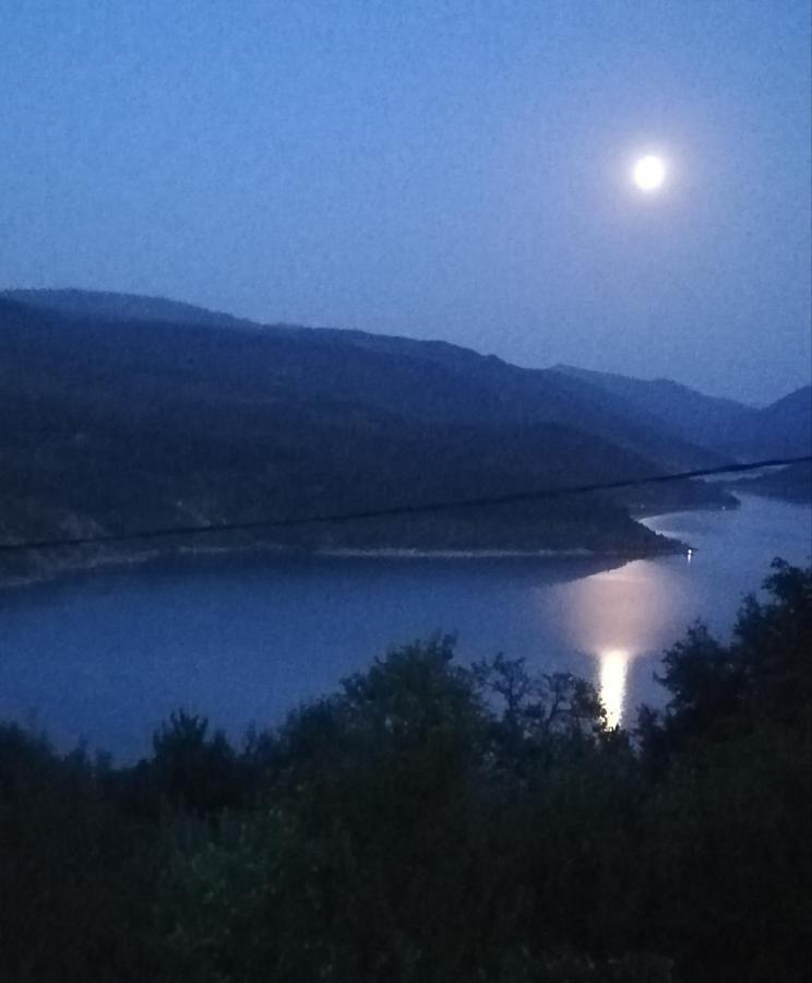 Vila Zapis - Zavojsko Jezero Pirot Zewnętrze zdjęcie