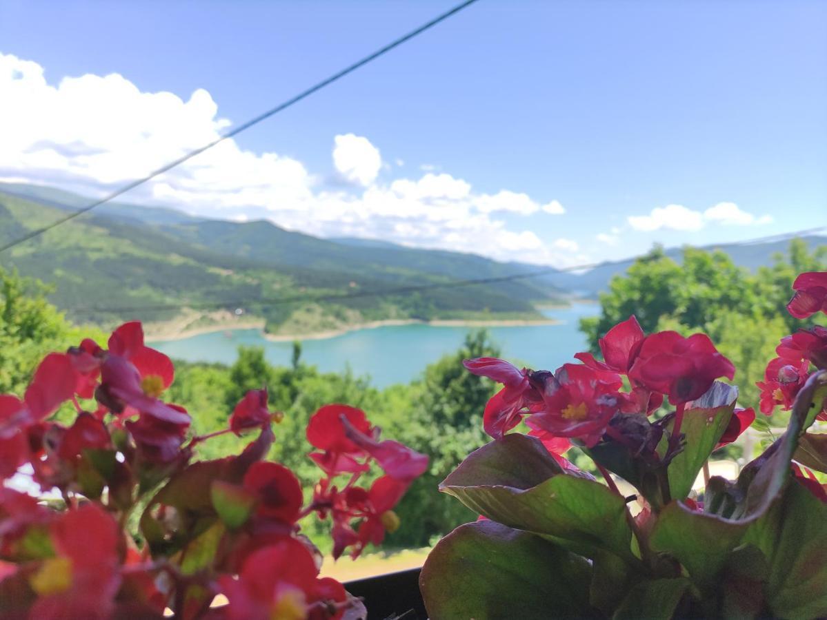 Vila Zapis - Zavojsko Jezero Pirot Zewnętrze zdjęcie