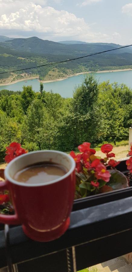 Vila Zapis - Zavojsko Jezero Pirot Zewnętrze zdjęcie